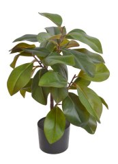 Umělý fikus v květináči květináč Ø 15cm, fikus 60cmH