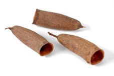 Přírodní dekorace seru fino dl. 13 - 16cm  - 4ks v bal