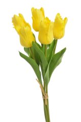 Tulipán papouščí 5 ks ve svazku s listy, 32 cm, barva 23