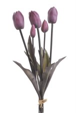 Tulipán svazek 5 ks, 3 květy + 2 poupata, 46 cm