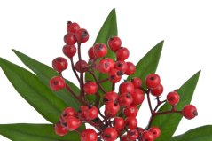 Větvička umělého hlohu s listy dl. 51cm