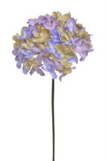 Divoký bez svazek 6 stonků s kvítky, dl. 22 cm, barva 06