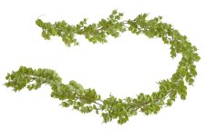 Girlanda z umělých větviček eukalyptu dl.180 cm