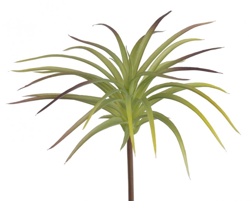 Umělá rostlina  sukulent aloe 16cm barva 1535