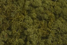 Preparovaný mech  island moss 500g OLIV GREEN Z178