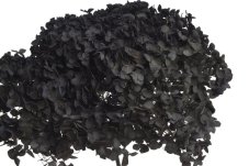 Stabilizovaná hortenzie Annabelle černá 20–25 cm – přírodní květ