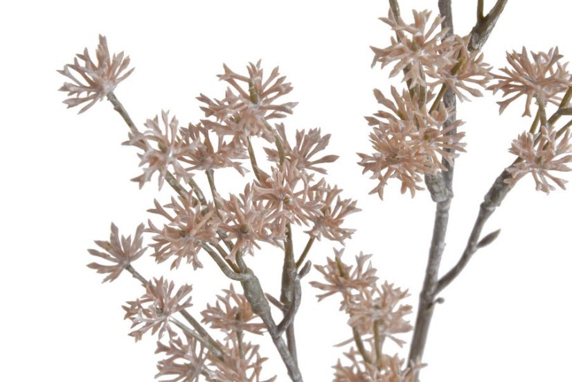 Vánoční dekorace - barvená větvička skimie dl. 64cm - zápich