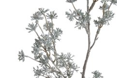 Vánoční dekorace - barvená větvička skimie dl. 64cm - zápich