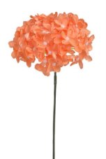 Divoký bez svazek 6 stonků s kvítky, dl. 22 cm, barva 19