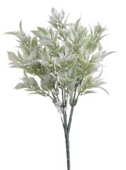 Ruskus zápich 30 cm, 5 větviček, barva 17