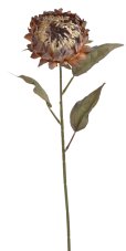 Umělý květ protea na stonku, květ 10cm/dl.72cm