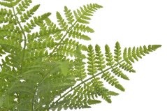 Svazek umělého kapradí 9 listů 49 cm