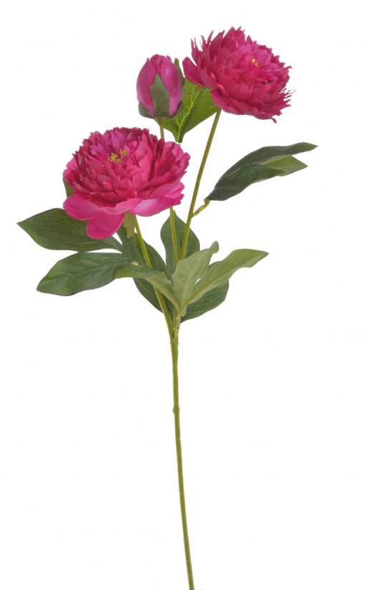Umělá pivoňka s 2květy a poupětem, květ Ø10cm/ celková dl.65cm