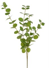 Umělý euklalitus dl. 54cm - zápich