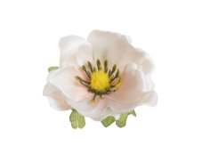 Hlavička umělé anemone - sasanky, hlavička Ø 6cm - 12ks