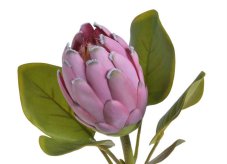 Umělý květ protea na stonku, květ 9cm/dl.67cm