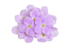 197CANXQ_04 hortenzie mýdlová 25ks