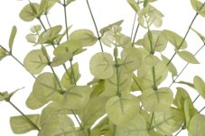 Kytice eukalyptus, 4 větvičky, 49 cm, barva - 01