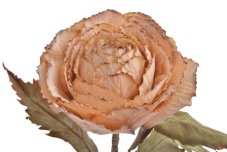 Dekorace umělá ozdobná kapusta, hlava Ø 16cm, dl.70cm
