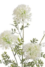 Umělý kvetoucí česnek polní, květ Ø 8cm/dl. 78cm