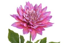 Umělá květina kvetoucí dahlie, květ Ø 25cm, dl.98cm