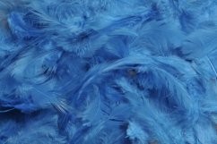 Přírodní barvené peří 7 - 12 cm, BLUE_044