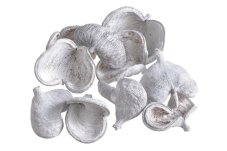 Přírodní dekorace barvené plody badam WW cca. 9-11cm - 10 ks