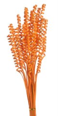 Přírodní dekorace Cane spring mini vyb./col. dl. 38cm - 25ks