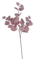Umělý euklalytus dl. 64cm - zápich