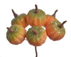 Zápich dýně 6 ks 4,5 cm/dl. 17 cm