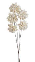 Shola ninza flower 6 cm/20cm zápich, 5ks