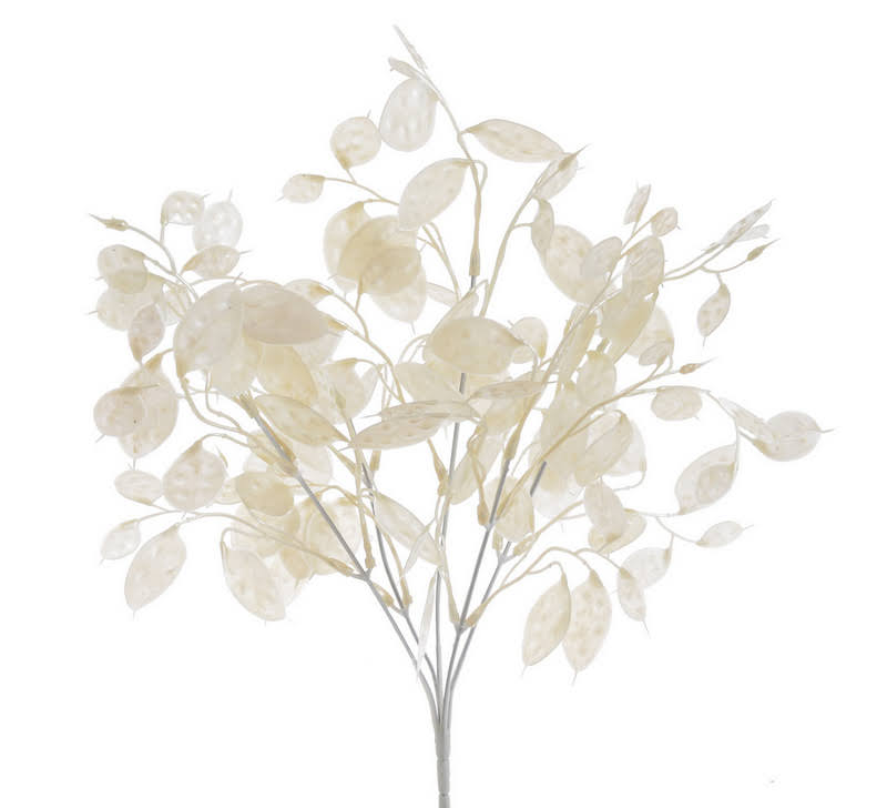 Penízovka, 38 cm, 5 větviček, barva 399