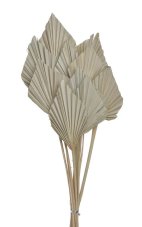Přírodní dekorace Palm Spear Mini dl. 30 - 35cm - 10ks