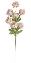 Trs umělých čínských pivoněk se sedmi květy, květ Ø 6 cm, dl 72 cm