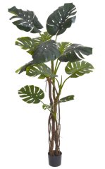 Dekorace umělý Philodendron v květináči dl.190cm