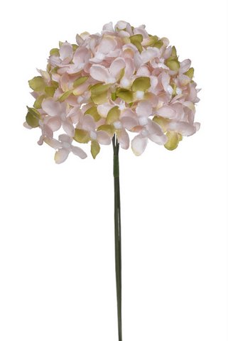 Divoký bez svazek 6 stonků s kvítky, dl. 22 cm, barva 04