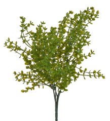 Eukalyptus drobnolistý, 6 větviček, barva 03