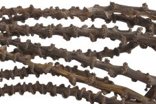 Přírodní materiál banana stem 51,5-68cmL x 1-2,5cmW - 10ks
