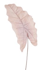 Dekorace umělý list alokacie dl. 53cm_11