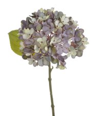 Květ hortenzie na stonku s listy - květ Ø 14 cm, dl. 33 cm