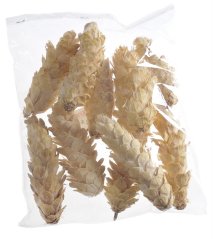 Přírodní dekorace šišky Strobus bělené dl. 10-15cm W  - 5ks