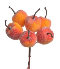 Jablka v cukru 6ks ve svazku 3/16 cm