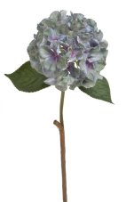 78CAN7283_10 hortenzie 59cm