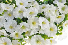 Dekorační věnec z umělých kvítků a eukalyptu Ø 50cm