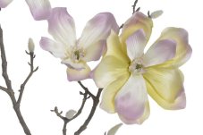 209CAN4006PT_20 magnolie 84cm