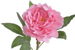 Umělá pivoňka na stonku, hlavička Ø12cm/dl.56cm