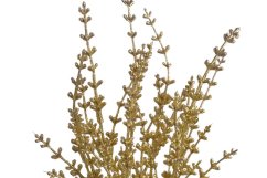 Umělá barvená a glitrovaná levandule dl. 32cm