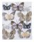 Dekorace motýlek na klipu - různé druhy a velikosti 4 x 5 cm/ 6 x 8 cm