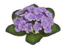 Umělá kytička 25 afrických fialek s lístky, květ Ø 4 cm, trs 18 cm