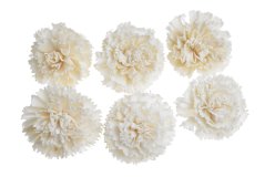 Dekorační květy Shola marigold Ø 6cm  - 6 ks